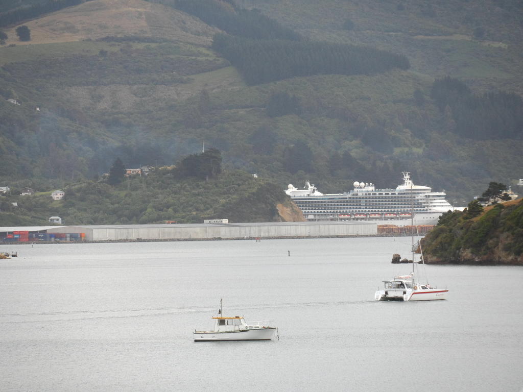 Otago Peninsula Motel Portobello Exteriör bild