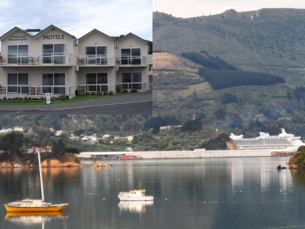 Otago Peninsula Motel Portobello Exteriör bild